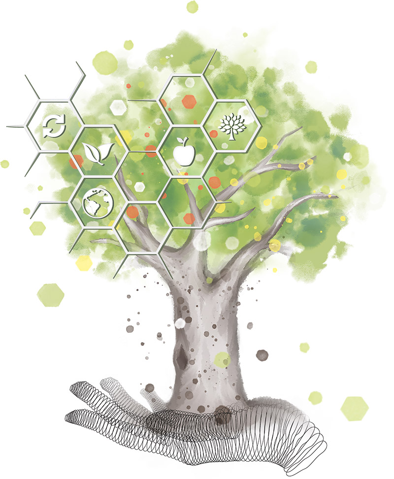 DPM Mashel Innovationtree